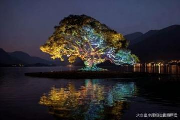 探索达达线：详尽的自驾游指南 - 畅享达里湖之旅