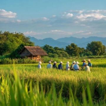 乡村旅游发展规划的考察(乡村旅游发展百科知识)