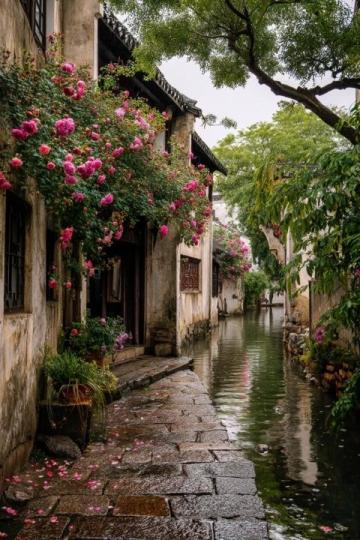 台州春天旅游攻略-2025年浙江台州旅游攻略