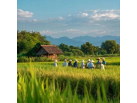 乡村旅游发展规划的考察(乡村旅游发展百科知识)