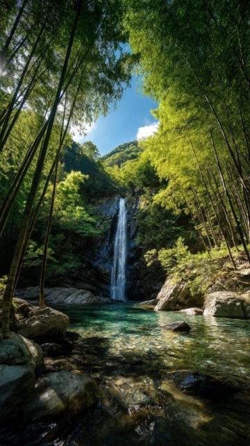 三台山国家森林公园旅游指南：景点、路线及必游项目
