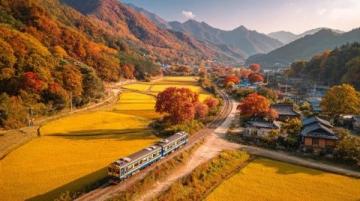 林芝到墨脱旅游攻略篇