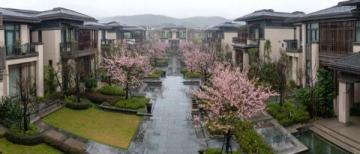 宁德之旅，入住梦幻家园，美食狂欢尽享！