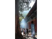 河北旅游景区冷知识：从北戴河到避暑山庄的秘密历史