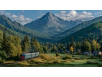 绿皮火车旅游专列：亲民价格与温馨社交的银发之旅