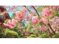 辰山植物园三小时游玩攻略：樱花大道、矿坑花园与兰花展，尽享春日浪漫