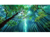 成都植物园旅游攻略（附交通、门票信息）