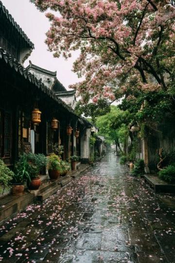贵州毕节百里杜鹃-贵州到百里杜鹃旅游攻略