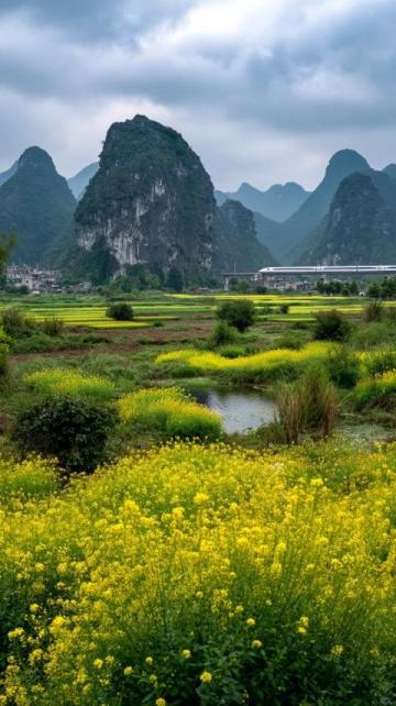 贵州毕节百里杜鹃-贵州到百里杜鹃旅游攻略