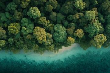 海陵岛深度游：探秘海岛风情，享受阳光沙滩