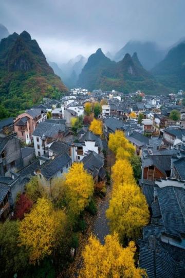 贵州毕节百里杜鹃-贵州到百里杜鹃旅游攻略