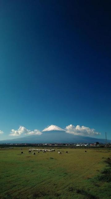 旅游记录日本富士山下忍野八海随拍