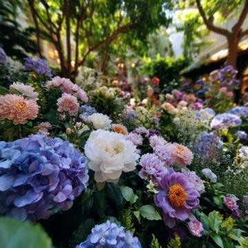 辰山植物园三小时游玩攻略:樱花大道、矿坑花园与兰花展,尽享春日浪漫