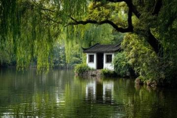 我以为宁波只有天一阁，没想到藏了这么多好去处，低调却惊艳