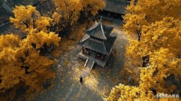 婺源秋色两日游:慢享最美乡村的金色画卷