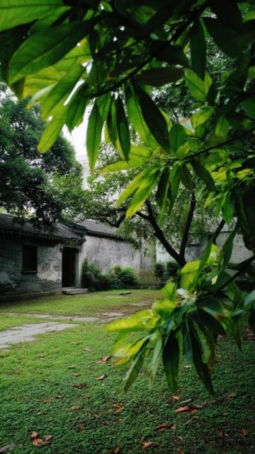 成都植物园旅游攻略（附交通、门票信息）