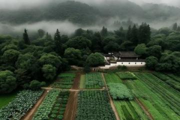宁德之旅，入住梦幻家园，美食狂欢尽享！