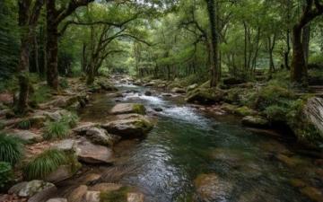 三台山国家森林公园旅游指南：景点、路线及必游项目