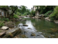 不去洛阳旅游攻略(洛阳旅游攻略)