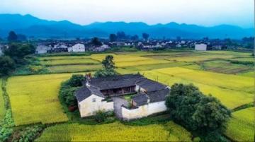 乡村旅游蓬勃发展助力乡村全面振兴和美丽。