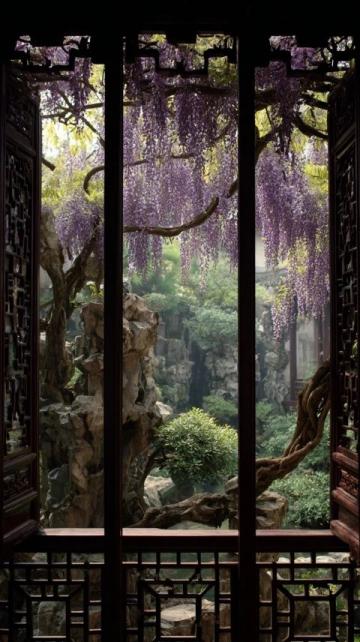 入住昆明，观赏翠微花园