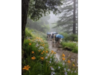 贵州景点学生证大派用场，免费或优惠畅游指南