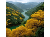 九寨沟旅游夏天攻略(九寨沟的旅游攻略)