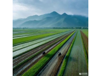 乡村旅游蓬勃发展助力乡村全面振兴和美丽。