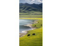 探索宁夏银川：十大热门旅游景点的历史与自然之旅