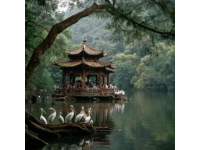 杭州旅游攻略：全面攻略，深度游杭州美景美食