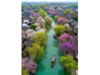 三月武汉旅游攻略：樱花季赏花必去景点推荐