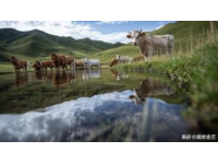 微博旅行家手把手教会你7天玩好新疆旅游攻略