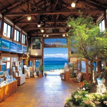 三亚旅游全攻略百科指南