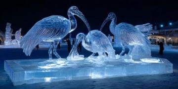 成都海昌极地海洋公园游玩攻略
