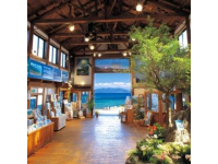 三亚旅游全攻略百科指南