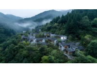 探索贵州荔波茂兰：深度游全解析