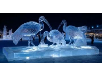 成都海昌极地海洋公园游玩攻略