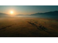 一小时直达：柳州到小阿勒泰草原牧场的美丽自驾之旅