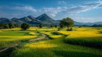 七天云南之旅：热门景区精选攻略