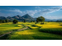 七天云南之旅：热门景区精选攻略