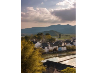 云南大理旅行全攻略：不容错过的景点和美食推荐