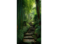 成都至邛崃天台山自驾游：隐匿秘境，茶园竹林间体验田园诗意