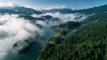 贵州荔波旅游攻略:小七孔与茂兰自然保护区深度游指南
