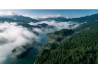 贵州荔波旅游攻略：小七孔与茂兰自然保护区深度游指南