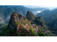 洛阳：河南省内最佳历史文化旅游胜地