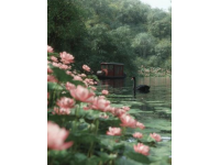 河北天鹅湖景区：美景与图文并茂的探索之旅