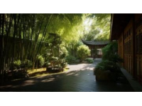 旅行中的小确丧：在成都熊猫基地，我体验了一次“花钱买罪受