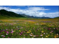 鞍山春季赏花旅游攻略_鞍山女人旅游攻略