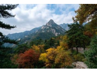 青岛崂山太清宫旅游攻略：必去景点+交通门票全指南