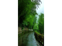 安吉旅游全攻略，这几个地方不去就亏大了，景色绝美不输任何一个5A景区